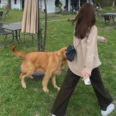 热门推荐